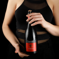 Raboso IGT Frizzante | Alkohouse.cz